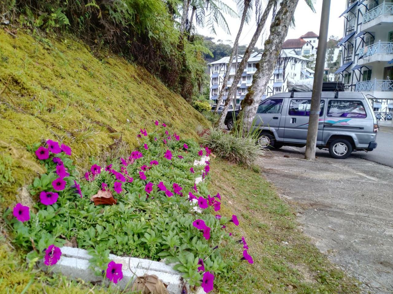 Apartamento Desa Anthurium Cameron Highlands Exterior foto