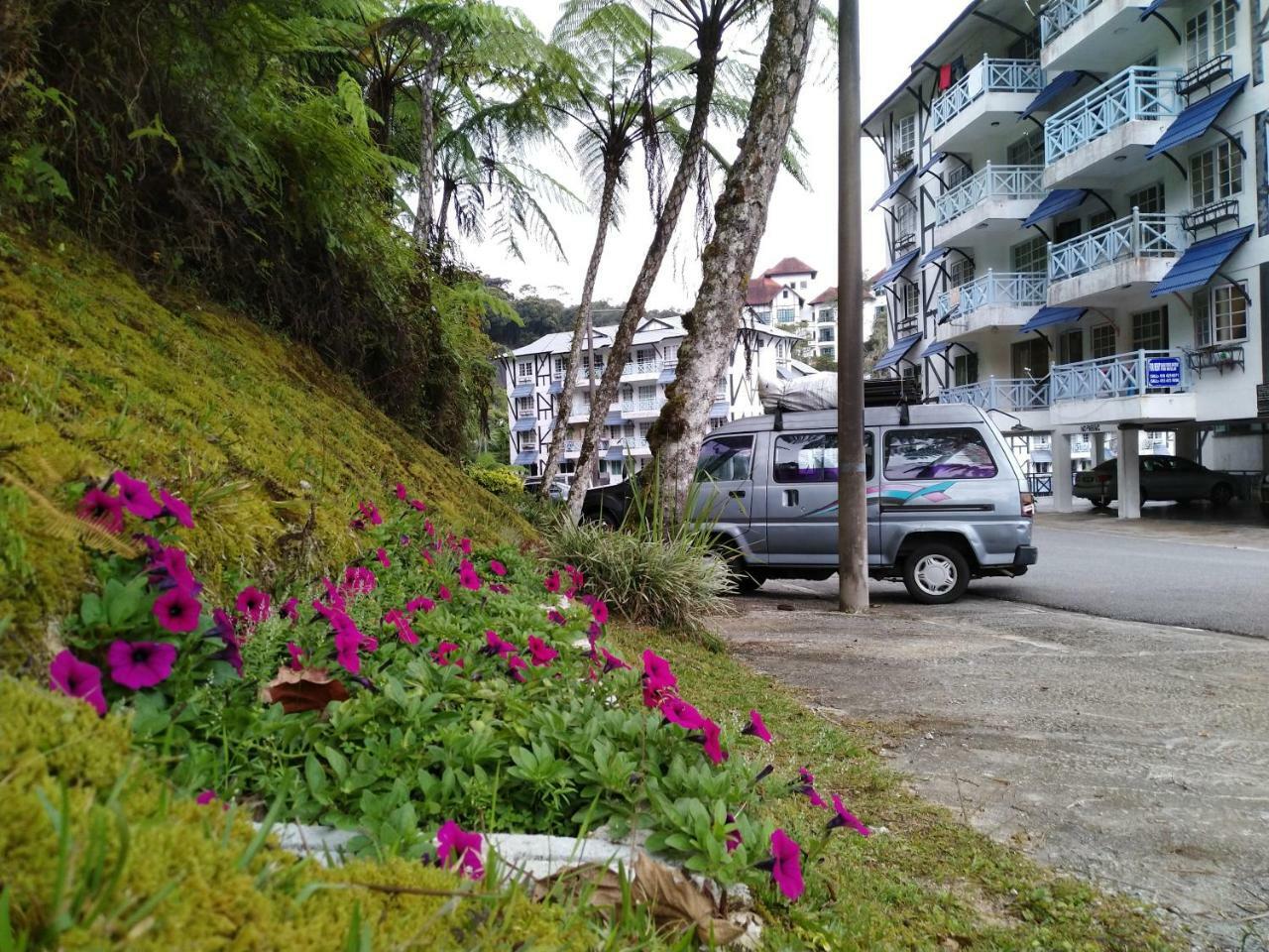 Apartamento Desa Anthurium Cameron Highlands Exterior foto