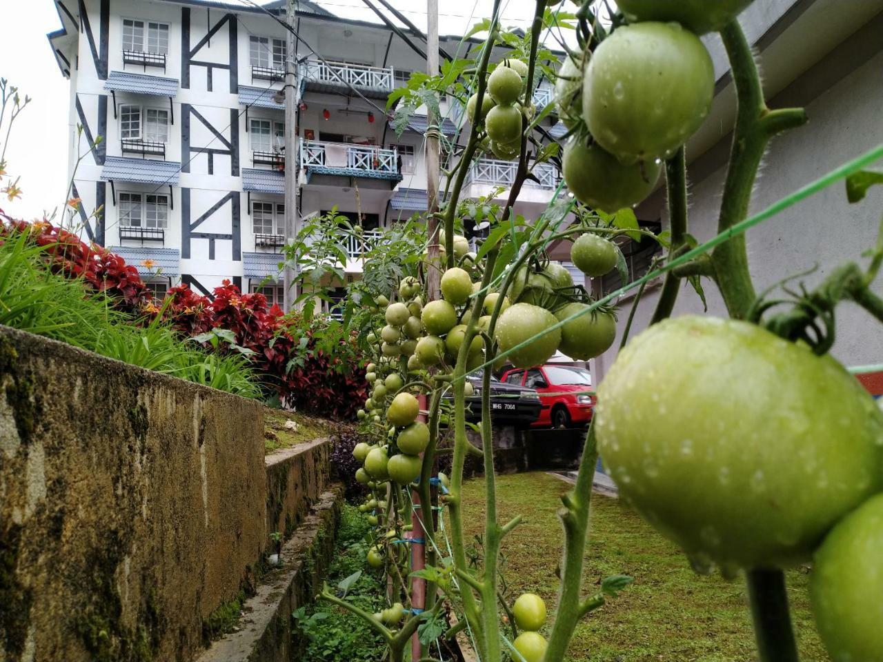 Apartamento Desa Anthurium Cameron Highlands Exterior foto