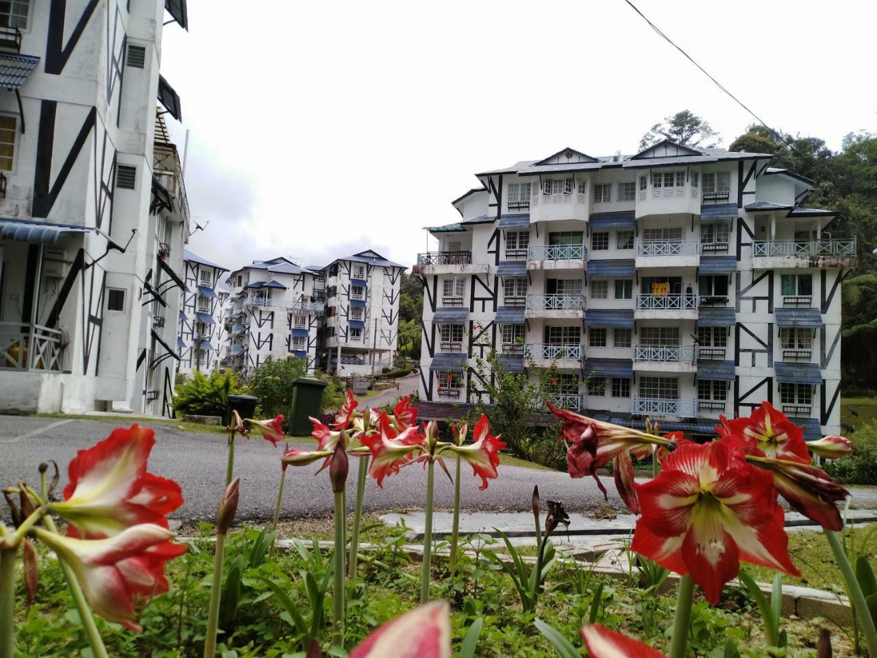 Apartamento Desa Anthurium Cameron Highlands Exterior foto