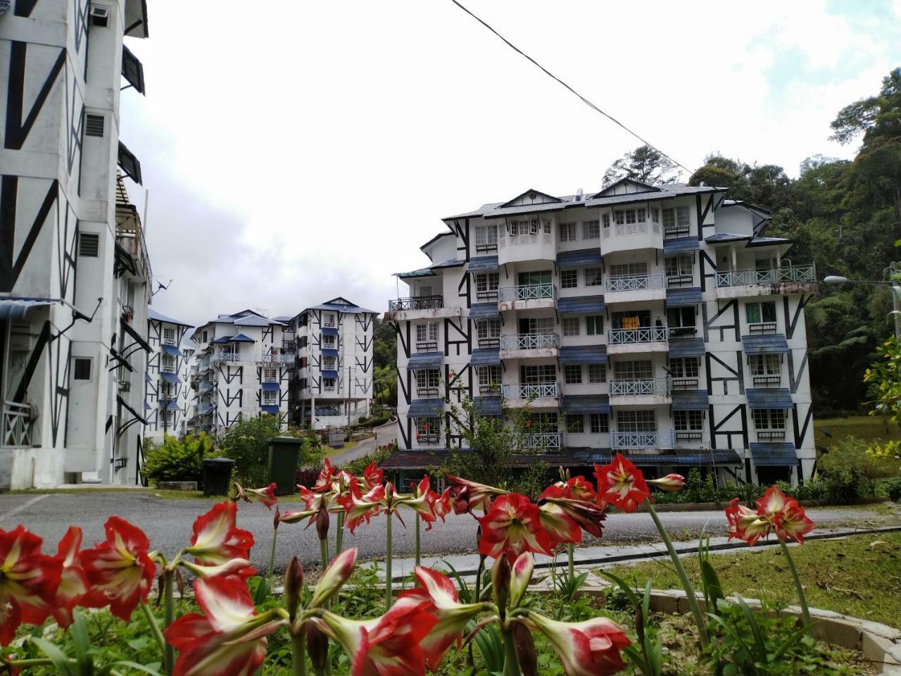 Apartamento Desa Anthurium Cameron Highlands Exterior foto