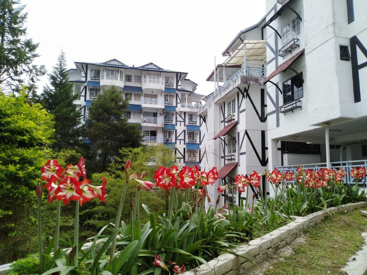 Apartamento Desa Anthurium Cameron Highlands Exterior foto