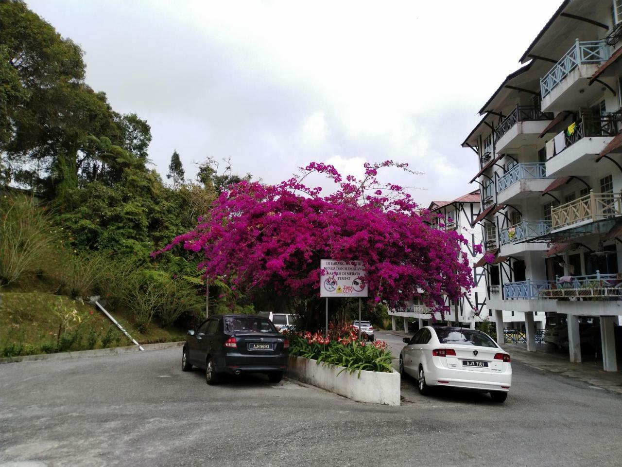 Apartamento Desa Anthurium Cameron Highlands Exterior foto